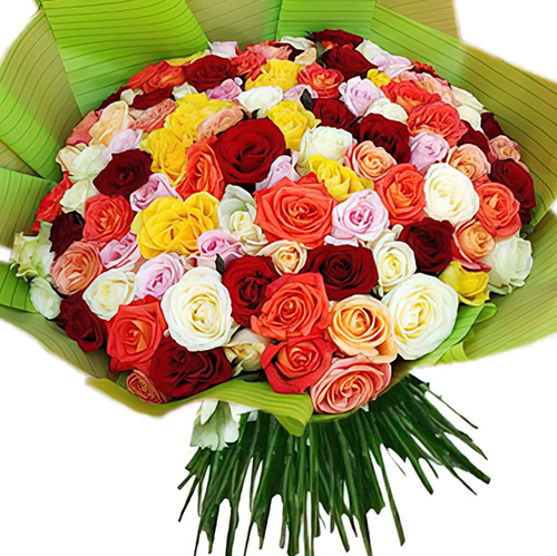 Фото товара 101 троянда мікс в упаковці в Хмельницком
