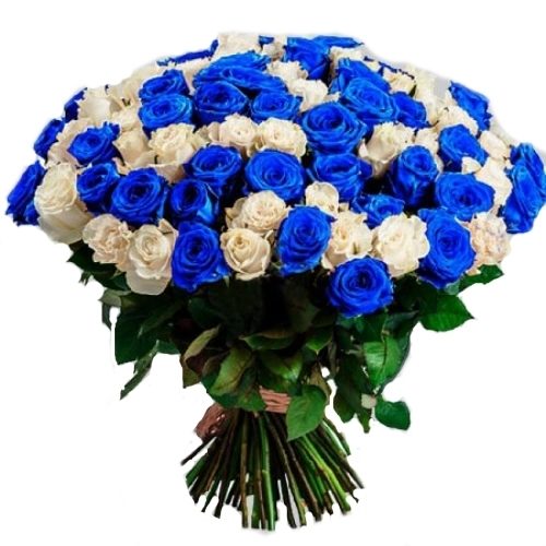 товар 101 белая и синяя роза (крашеная)