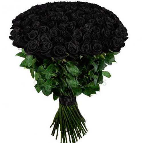 букет 101 чорна троянда