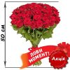 акційний букет 51 червона троянда (50см)