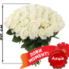 акційний букет 51 біла троянда (50 см)