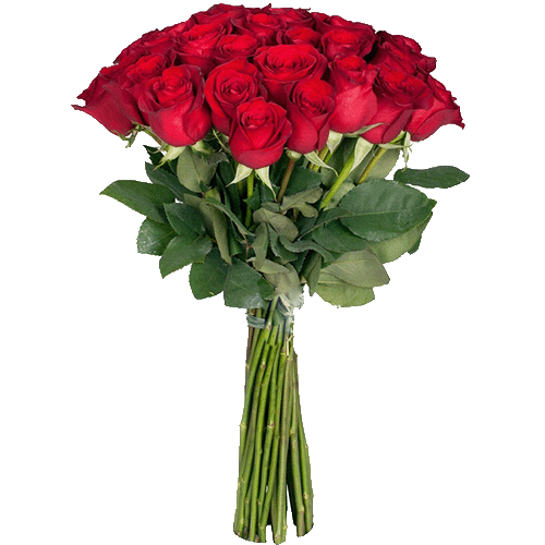 Розы экстра класса (поштучно) красные