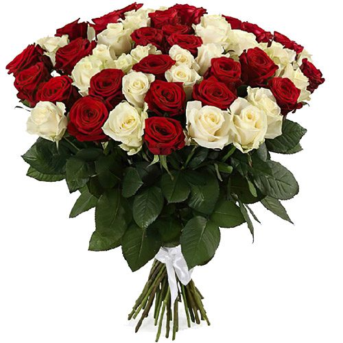 букет 51 красная и белая роза