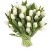 Фото товара 25 білих тюльпанів в Хмельницком