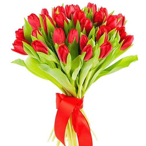 Фото товара 25 красных тюльпанов в Хмельницком