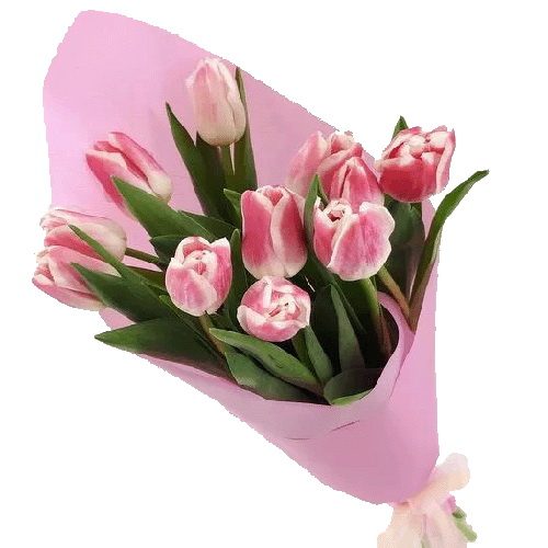 Фото товара 11 розовых тюльпанов в Хмельницком
