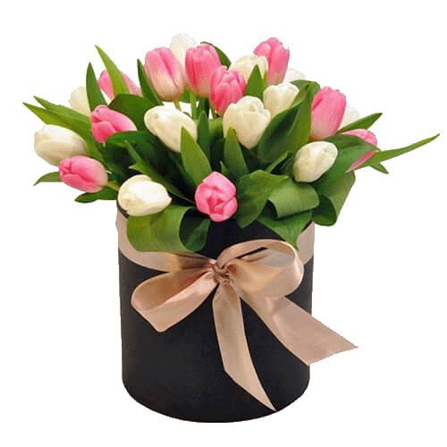 Фото товара 25 тюльпанов в коробке в Хмельницком