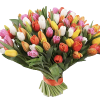 Фото товара 101 разноцветный тюльпан в Хмельницком