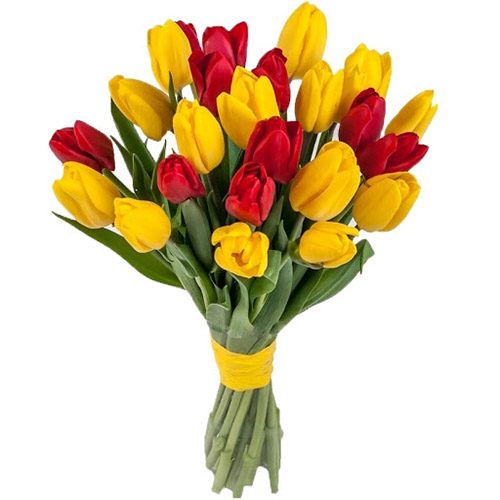 Фото товара 15 червоно-жовтих тюльпанів (зі стрічкою) в Хмельницком