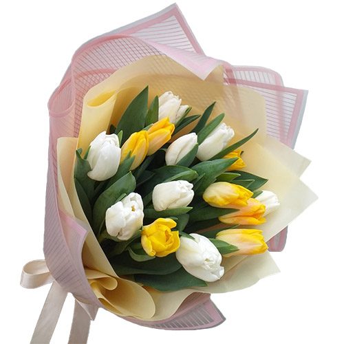 Фото товара 15 бело-жёлтых тюльпанов в Хмельницком