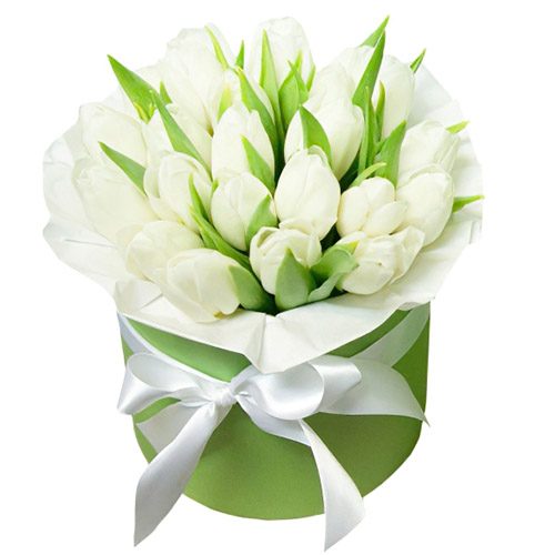 Фото товара 21 белый тюльпан в коробке в Хмельницком