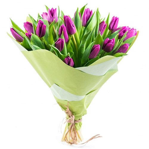 Фото товара 25 пурпурних тюльпанів в Хмельницком