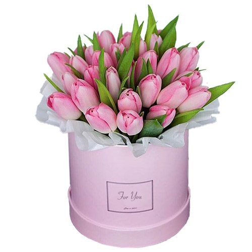Фото товара 31 нежно-розовый тюльпан в коробке в Хмельницком
