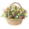 Фото товара 45 алых тюльпанов в коробке в Хмельницком