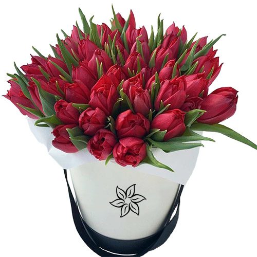 Фото товара 45 червоних тюльпанів у коробці в Хмельницком