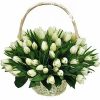 Фото товара 45 белых тюльпанов "Ангел мой" в Хмельницком