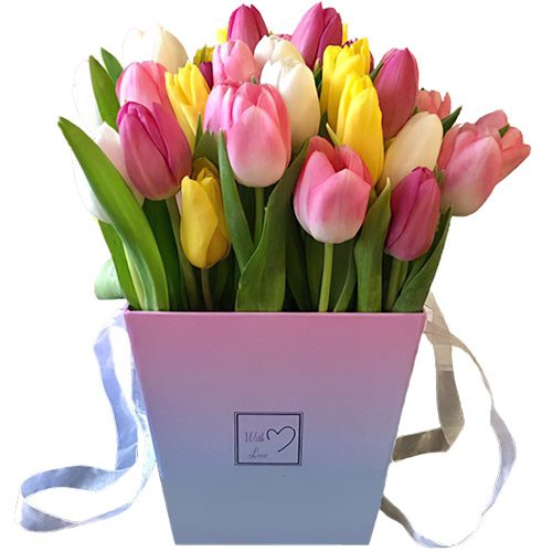 Фото товара 31 тюльпан "Весняний вітер" у квадратній коробці в Хмельницком