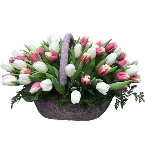 Фото товара 51 бело-розовый тюльпан в корзине в Хмельницком