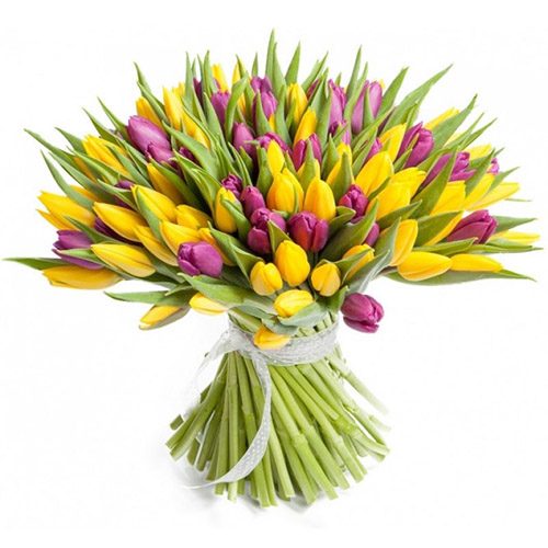 Фото товара 75 фіолетово-жовтих тюльпанів в Хмельницком