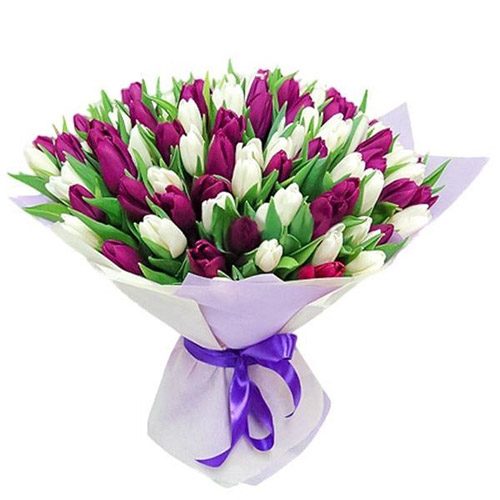Фото товара 75 пурпурно-белых тюльпанов в Хмельницком