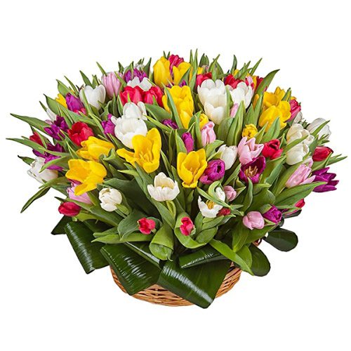 Фото товара 75 тюльпанов микс (все цвета) в корзине в Хмельницком