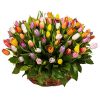 Фото товара 75 тюльпанов микс (все цвета) в корзине в Хмельницком