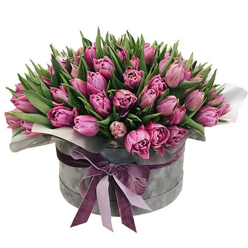 Фото товара 101 пурпурный тюльпан в коробке в Хмельницком