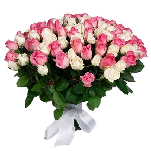 Фото товара 101 белая и розовая роза в Хмельницком