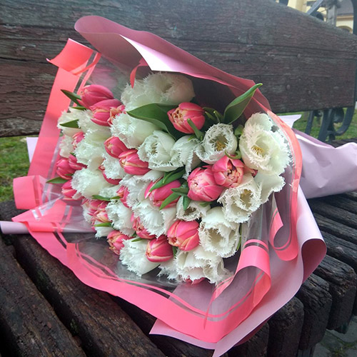 фото букета 51 бело-розовый тюльпан