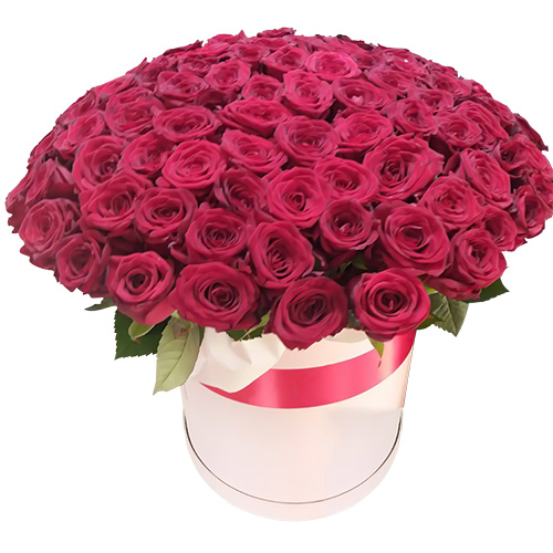 Фото товара 101 роза красная в шляпной коробке в Хмельницком