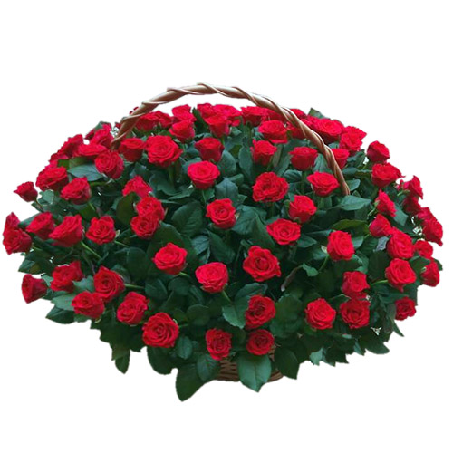 Фото товара 101 червона троянда в кошику в Хмельницком