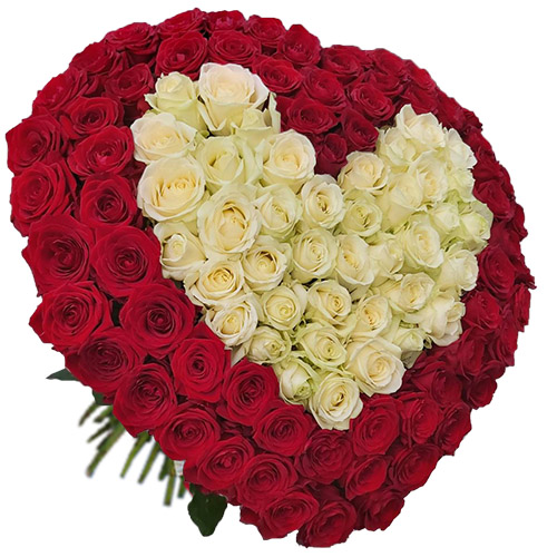 Фото товара Серце 101 троянда - червона і біла в Хмельницком