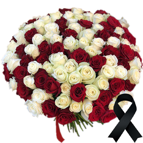 Фото товара 100 красно-белых роз в Хмельницком