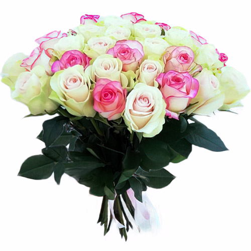 Фото товара 33 кремовые и розовые розы в Хмельницком