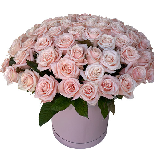 Фото товара 101 розовая роза в коробке в Хмельницком