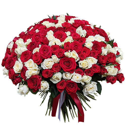 Фото товара 201 червона і біла троянда в Хмельницком