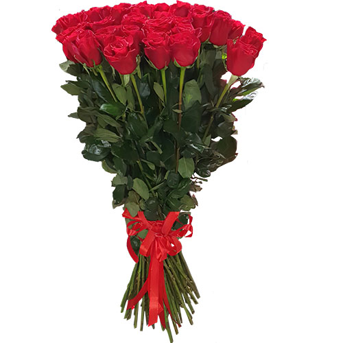 Фото товара 25 метровых роз "Фридом" в Хмельницком