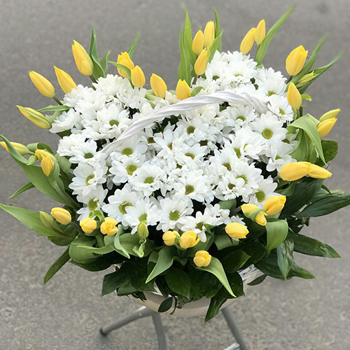 Фото товару - тюльпани та хризантеми в кошику у вигляді серця