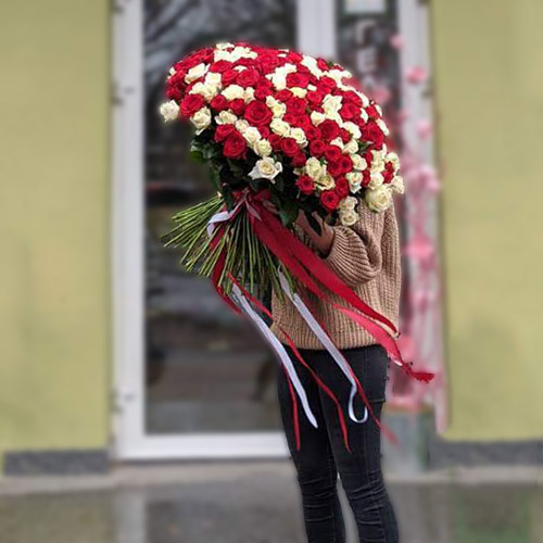 Огромный букет на праздник 201 красная и белая роза фото