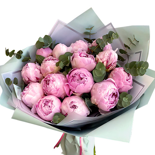 Фото товара 15 светло-розовых пионов с зеленью в Хмельницком