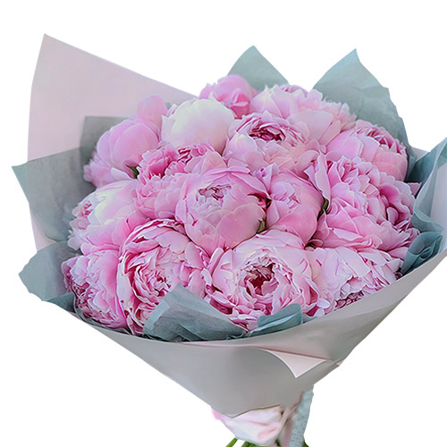 Фото товара 19 розовых пионов в Хмельницком