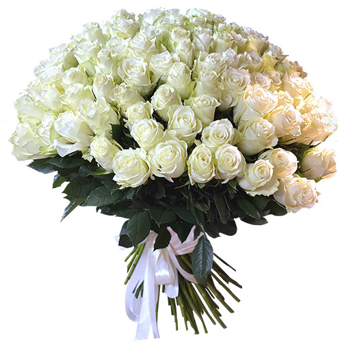 фото товара 101 белая импортная роза | «Роза ХМ»