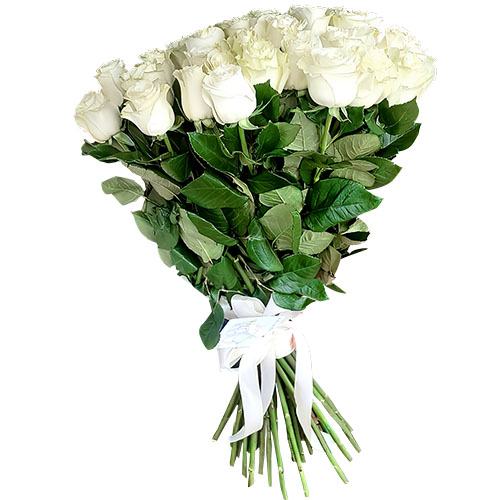 Фото товара 33 белые розы в Хмельницком