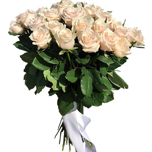 Фото товара Букет из 33 кремовых роз в Хмельницком