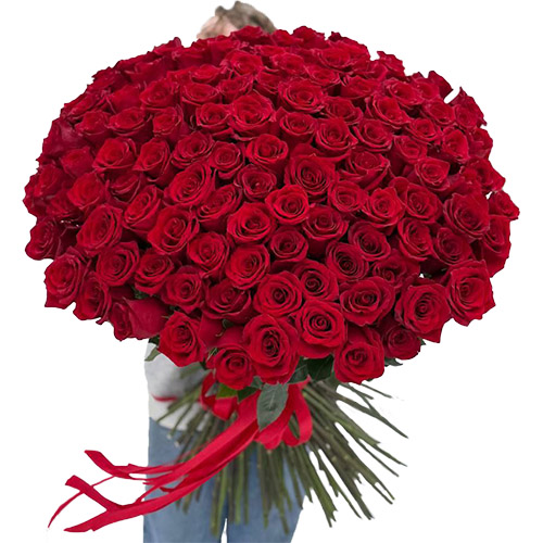 Фото товара 101 троянда "Фрідом" метрова в Хмельницком